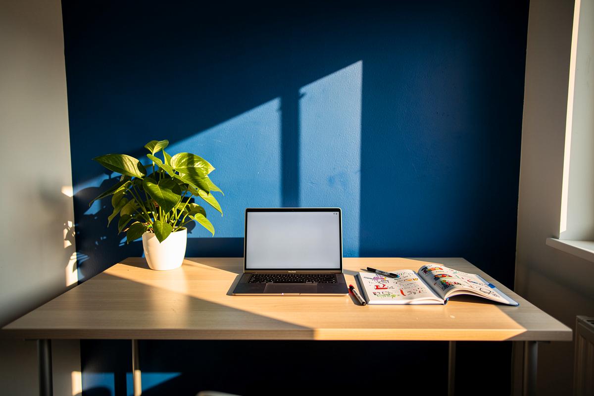 Mocne kolory na ścianach wpływają na twoją kreatywność – psycholodzy potwierdzają